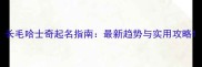 长毛哈士奇起名指南最新趋势与实用攻略