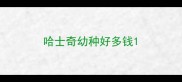 哈士奇幼种好多钱