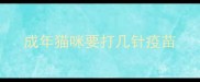 成年猫咪要打几针疫苗