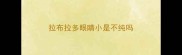 拉布拉多眼睛小是不纯吗