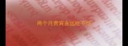 两个月贵宾永远吃不饱