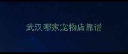 武汉哪家宠物店靠谱