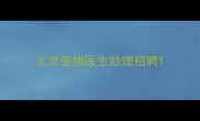 北京宠物医生助理招聘
