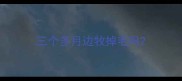 三个多月边牧掉毛吗