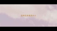 拉布拉多英系头小