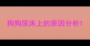 狗狗尿床上的原因分析