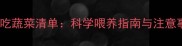 哈士奇6个月大吃蔬菜清单科学喂养指南与注意事项附食谱