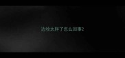 边牧太胖了怎么回事