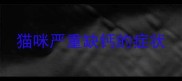 猫咪严重缺钙的症状