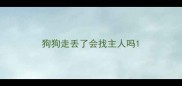 狗狗走丢了会找主人吗