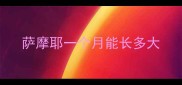 萨摩耶一个月能长多大