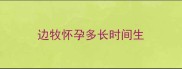 边牧怀孕多长时间生