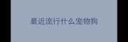 最近流行什么宠物狗