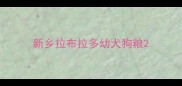 新乡拉布拉多幼犬狗粮