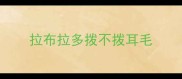拉布拉多拨不拨耳毛