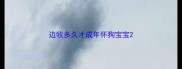 边牧多久才成年怀狗宝宝