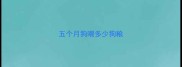 五个月狗喂多少狗粮