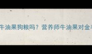 金毛犬能吃牛油果狗粮吗营养师牛油果对金毛的利与弊