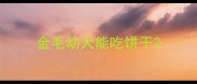 金毛幼犬能吃饼干