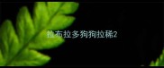 拉布拉多狗狗拉稀