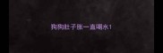 狗狗肚子胀一直喝水