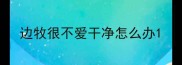 边牧很不爱干净怎么办