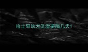 哈士奇幼犬洗澡要隔几天