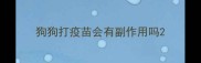 狗狗打疫苗会有副作用吗