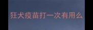 狂犬疫苗打一次有用么