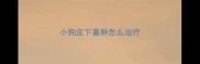 小狗皮下囊肿怎么治疗