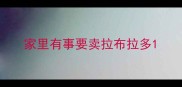 家里有事要卖拉布拉多