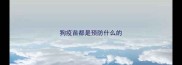 狗疫苗都是预防什么的