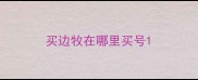 买边牧在哪里买号