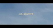小哈士奇如何喂养
