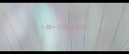 小狗一只眼有泪痕