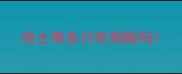 哈士奇多只吃狗粮吗