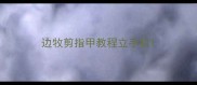 边牧剪指甲教程立手机