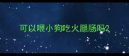 可以喂小狗吃火腿肠吗