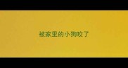 被家里的小狗咬了