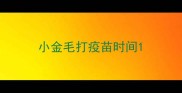 小金毛打疫苗时间