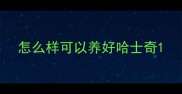 怎么样可以养好哈士奇