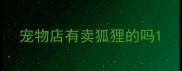 宠物店有卖狐狸的吗
