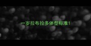 一岁拉布拉多体型标准