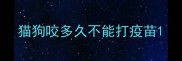 猫狗咬多久不能打疫苗
