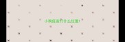 小狗疫苗打什么位置