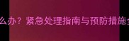 狗狗接种疫苗后生病怎么办紧急处理指南与预防措施全附专业兽医建议