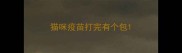 猫咪疫苗打完有个包