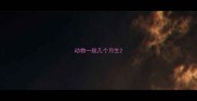 动物一般几个月生