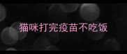 猫咪打完疫苗不吃饭