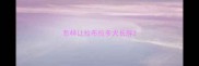 怎样让拉布拉多犬长胖